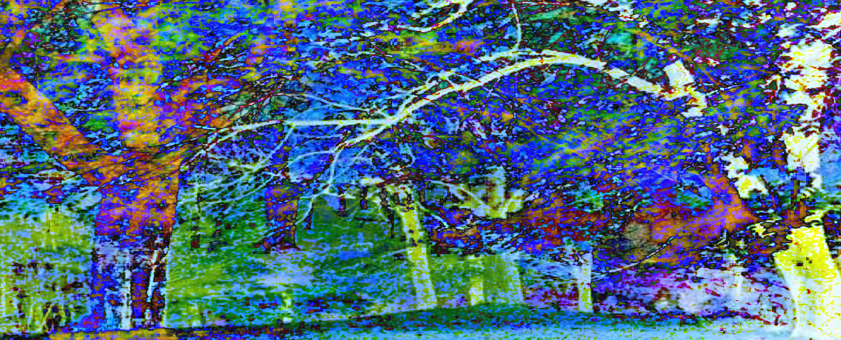 Header Background Banner